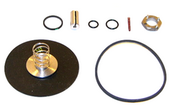 COPELAND 39834 STEAM VALVES