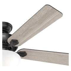 HUNTER Hunter 51738 Swanson Ceiling Fan with Light Kit 2 x 6.5W LED (52 in.)