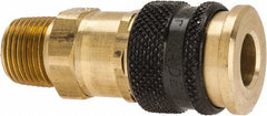 PARKER Parker 23KAAN17MPN Pneumatic Hose Coupler 1/4 in Brass