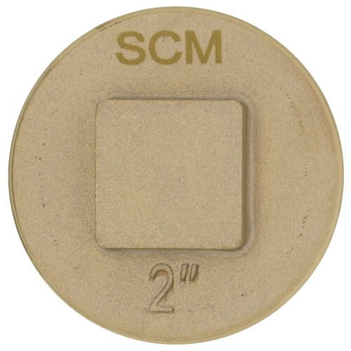 SIOUX CHIEF Sioux Chief 876-RS20 Raised Square Head Cleanout Plug (2 in)