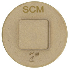 SIOUX CHIEF Sioux Chief 876-RS20 Raised Square Head Cleanout Plug (2 in)