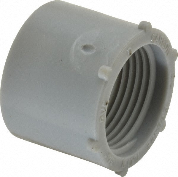 THOMAS & BETTS Thomas Betts E9842E Conduit Female Adapter 3/4 in Pvc