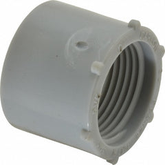 THOMAS & BETTS Thomas Betts E9842E Conduit Female Adapter 3/4 in Pvc