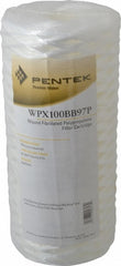 PENTAIR Pentair 355221-43 Cartridge Filter 100 Micron Big Blue
