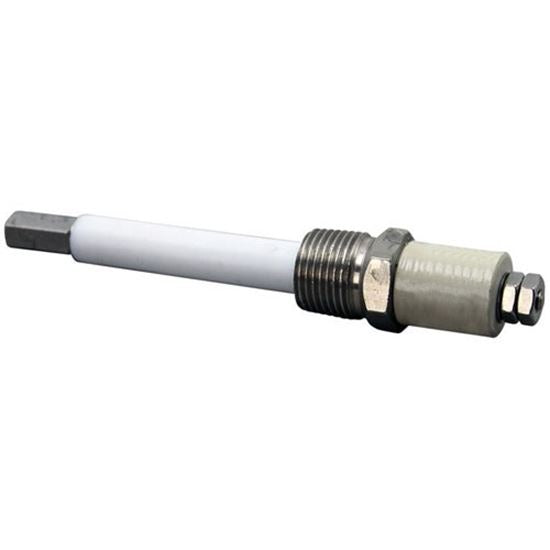CLEVELAND Cleveland S40462 Probe assembly with lock washer (Each) CLES40462