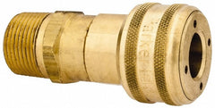 PARKER Parker B36G Male Npt Pneumatic Hose Coupler 1/2 in Brass