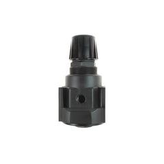 COILHOSE PNEUMATICS Coilhose Pneumatics 27R4 Air Regulator 1/2 Npt 250 Psi
