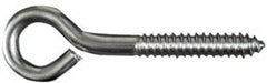 NATIONAL HARDWARE National Mfg N220-780 Lag Screw Eye 0.25x5 in Stainless
