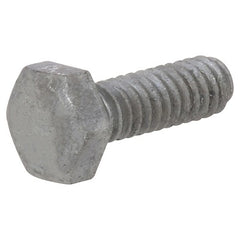 HILLMAN Hillman Fasteners 812024 Galvanized Hex Lag Screw 100 Pack