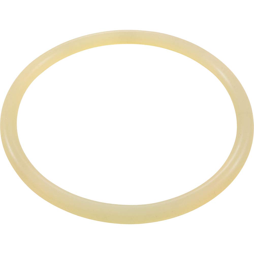 ASTRAL PRODUCTS 7401700120 POOL O-RINGS & GASKETS