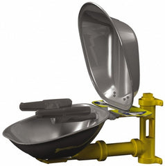 BRADLEY Bradley S19224DCFW Wall Mount Eye Face Wash Station