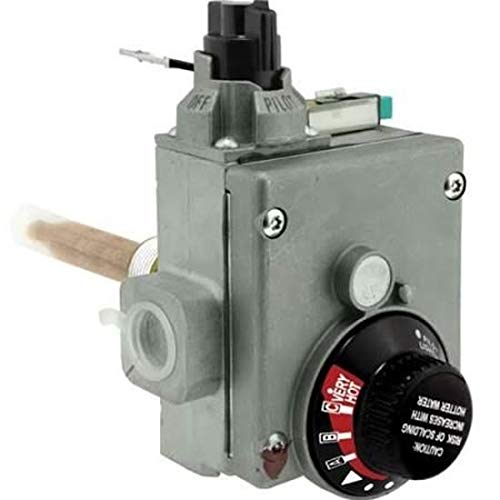 RHEEM SP20166D GAS VALVES