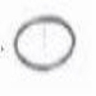 WEIL-MCLAIN 590318042 O-RINGS & GASKETS