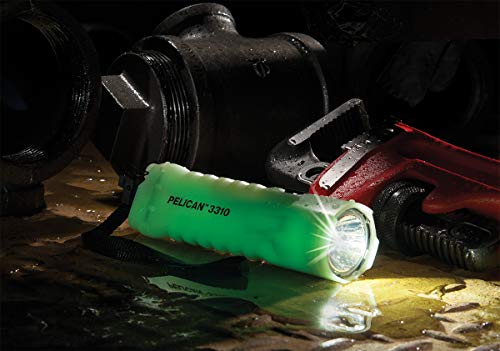 PELICAN WIRELESS SYSTEMS Pelican 033100-0102-247 Photo Luminescent Flashlight NiCd
