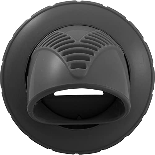 INFUSION POOL PRODUCTS Infusion Pool Products VRFSAS2DG Venturi Return Fitting 2 Inch Self Aligning Slip Dark Gray