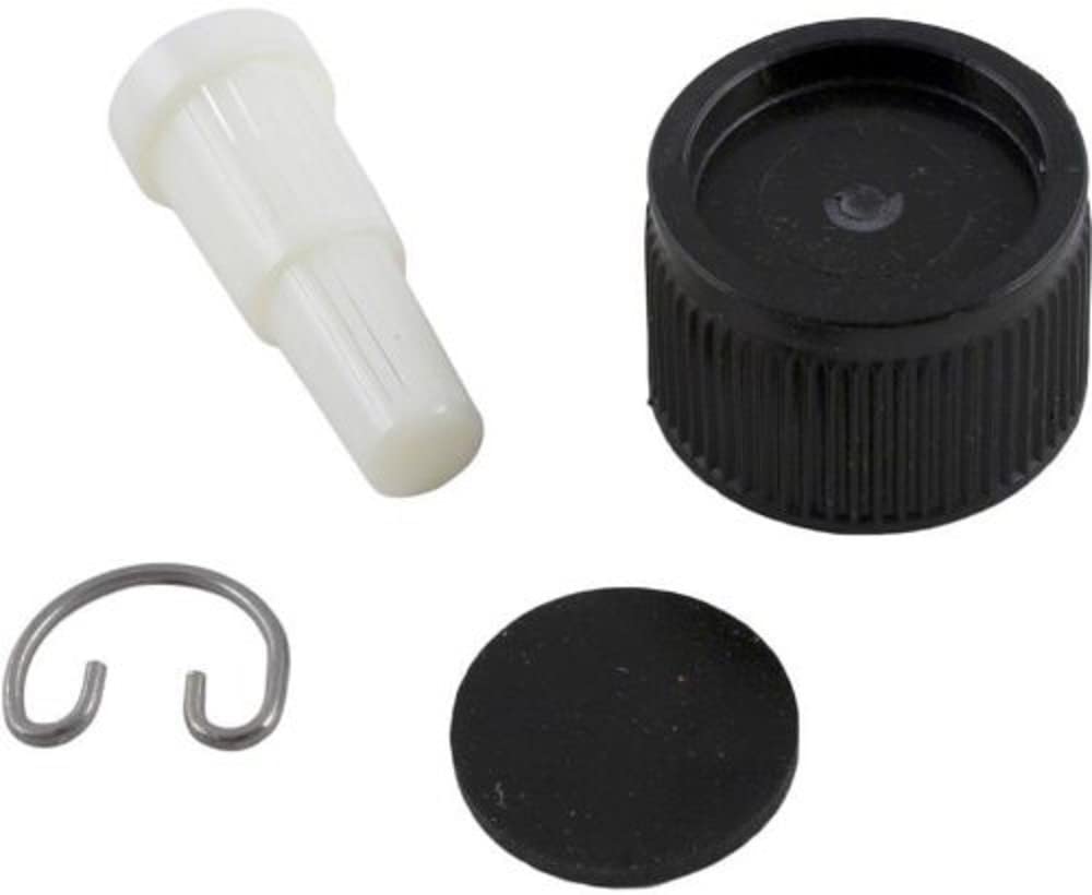 ZODIAC R0492100 POOL SWITCHES