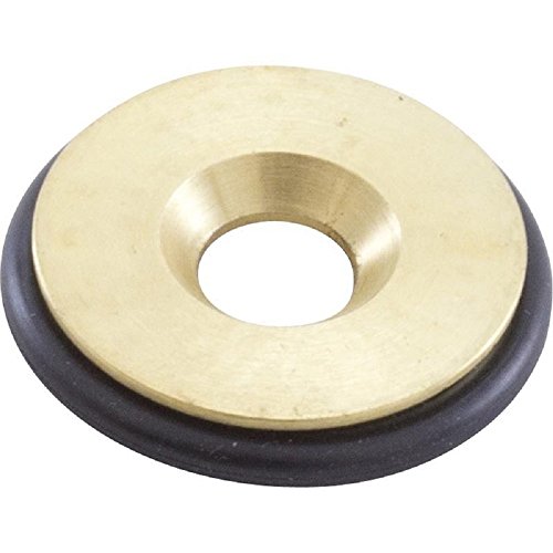 PENTAIR 460739 GAS VALVE ASSEMBLIES