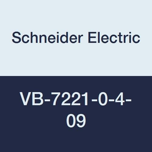 SCHNEIDER ELECTRIC VB-7221-0-4-09 GLOBE VALVES