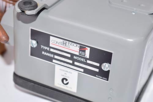JOHNSON CONTROLS Johnson Controls A19ANC-1 SPDT Rainproof Switch 0/150F with 10 Feet Cap