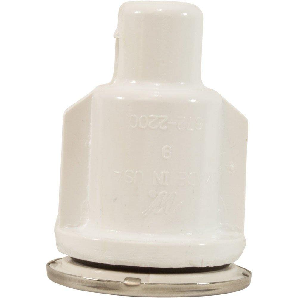 WATERWAY PLASTICS Waterway Plastics 670-2550 Ozone Air Injector 3/8 Inch Barb Stainless Steel Escutcheon