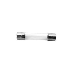 DEL OZONE 5-0457 POOL FUSES