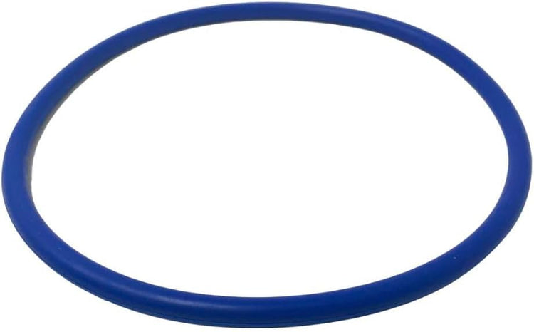 PENTAIR 356189Z POOL O-RINGS & GASKETS
