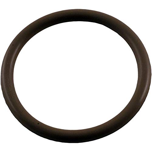 WATERWAY PLASTICS 805-0219V POOL O-RINGS & GASKETS