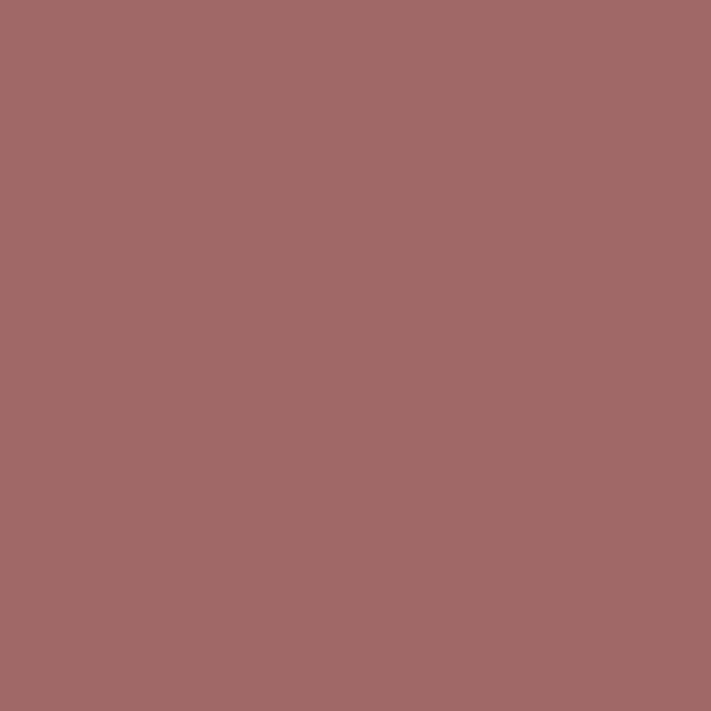 RUST-OLEUM Rust-Oleum 7569838 Professional Primer Spray Paint 15 Ounce Flat Red