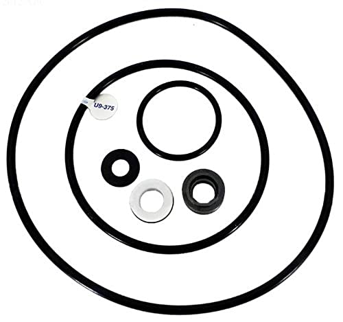 PENTAIR PP4000 POOL O-RINGS & GASKETS