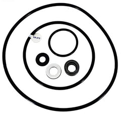 PENTAIR PP4000 POOL O-RINGS & GASKETS