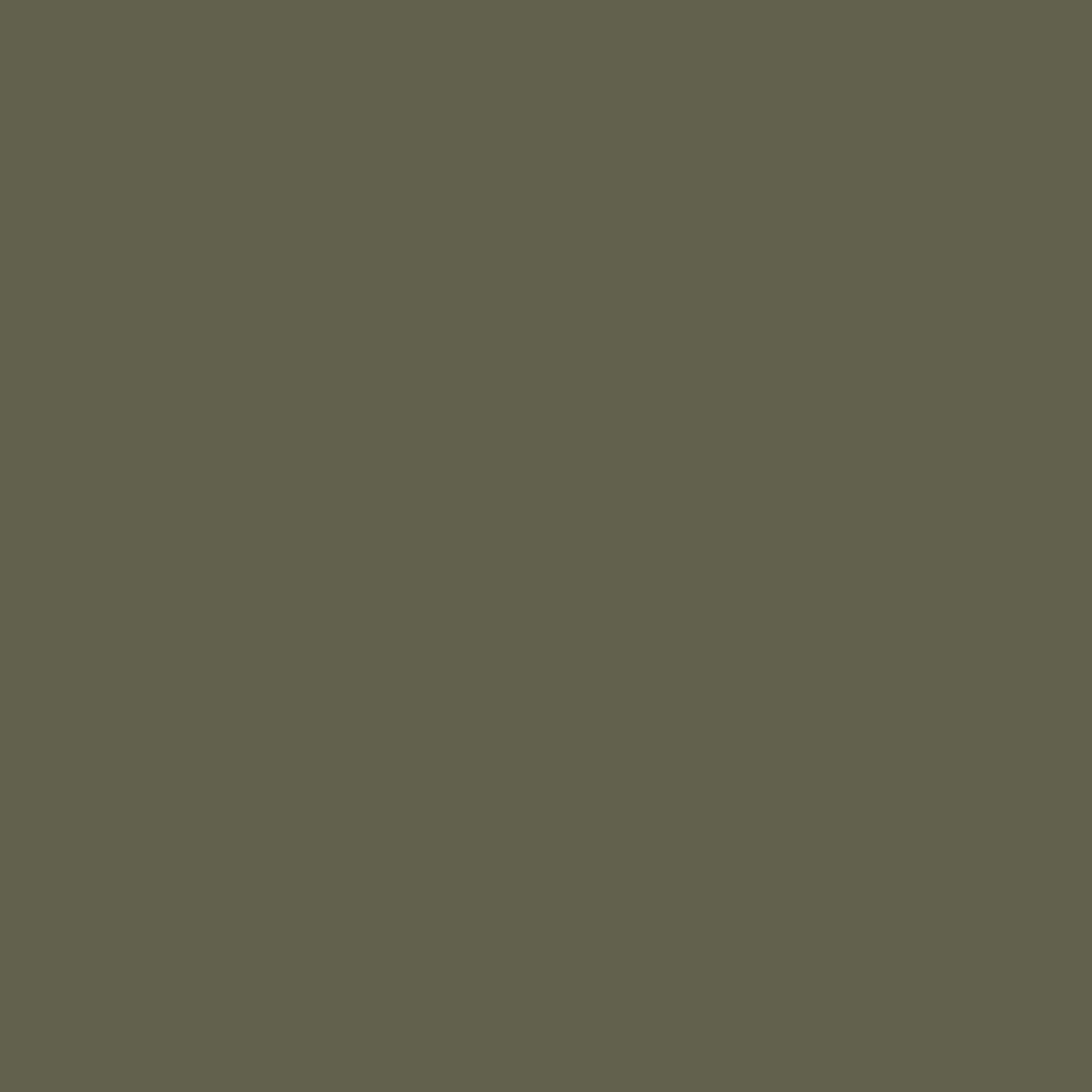 RUST-OLEUM Rust-Oleum 249322 Automotive Self Etching Primer Spray Paint 12 Ounce Dark Green