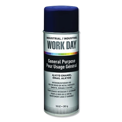 KRYLON A04403007 PAINT SUPPLIES