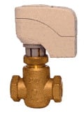 SIEMENS 25401129 GLOBE VALVES