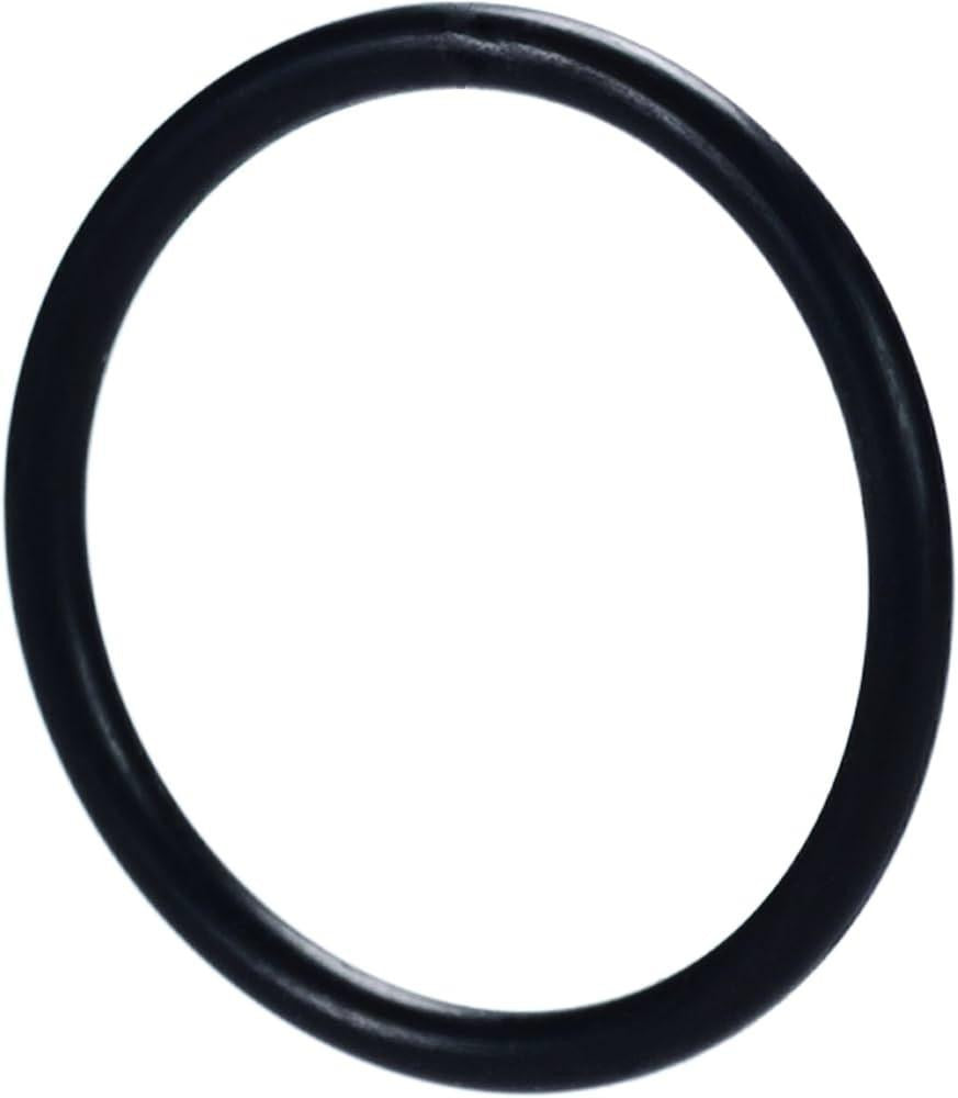 MSA SAFETY Msa Safety 637009 O Ring