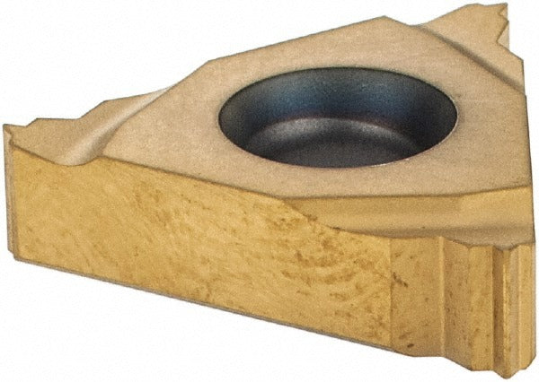 SECO TOOLS Seco 00049553 Threading Insert 0.75mm Iso External CP500