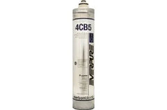 PENTAIR 4621-32 EXTENDED SURFACE ACTIVATED CARBON FILTERS