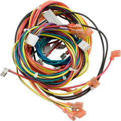 RAYPAK 009490F MOTOR WIRING HARNESSES