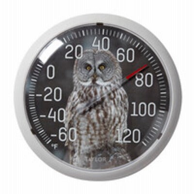 TAYLOR PRECISION PRODUCTS Taylor Precision Products 5307061 Owl Thermometer