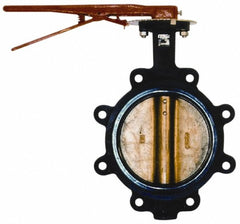 LEGEND VALVE Legend Valve 116-622 Lug Butterfly Valve 2.5 Inch