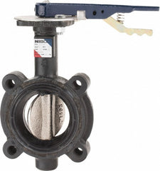 NIBCO Nibco NLG250F Lug Butterfly Valve 3 Inch 250 Psi