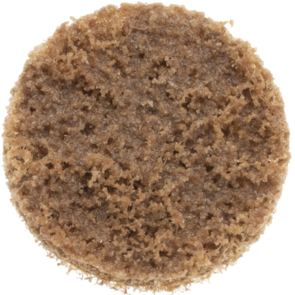 NORTON Norton 66623335537 Quick-change Disc 1 in Aluminum Oxide