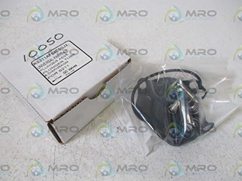 GC VALVES GC Valves KS211AF02C5GJ2 Universal Part Kit Repair Kit