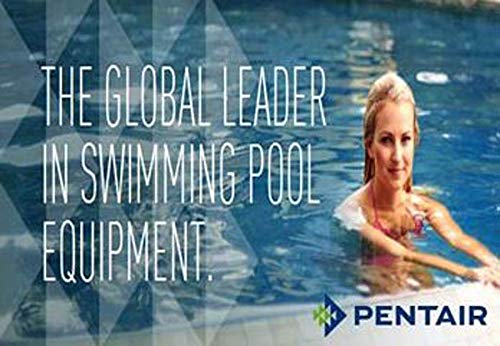PENTAIR Pentair 59023500 Grid Assembly for FNS Plus 36 SqFt Filter Replacement
