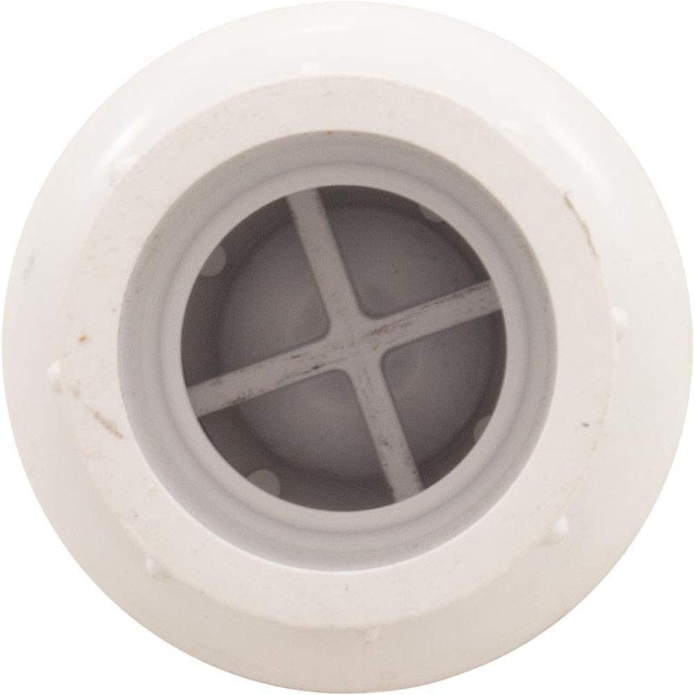 FLO CONTROL Flo Control 1011-10 Check Valve 1/2lb Spring Water