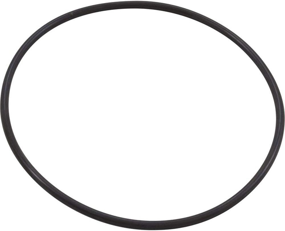 PENTAIR 351446 POOL O-RINGS & GASKETS