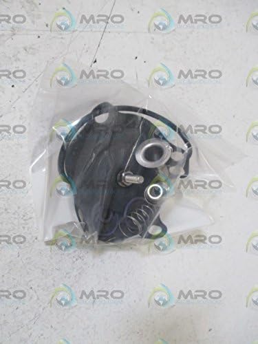GC VALVES GC Valves KS211AF02C5GJ2 Universal Part Kit Repair Kit