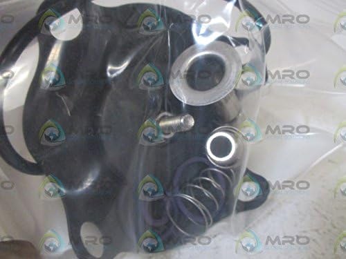 GC VALVES GC Valves KS211AF02C5GJ2 Universal Part Kit Repair Kit