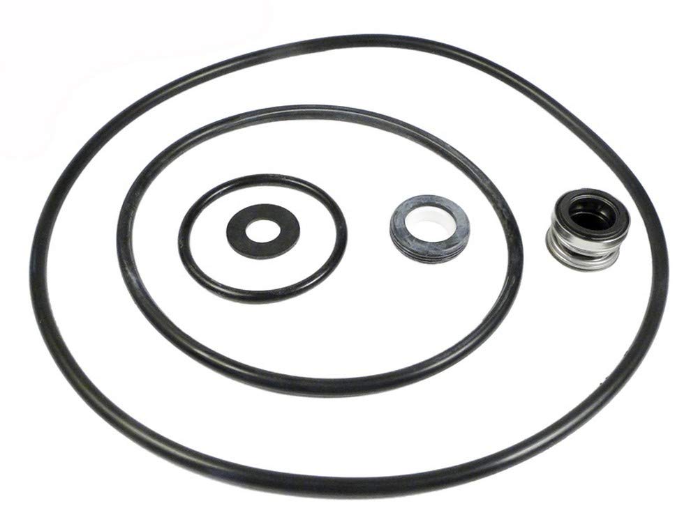 PENTAIR PP4200 POOL O-RINGS & GASKETS