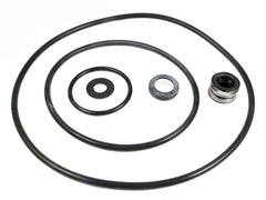 PENTAIR PP4200 POOL O-RINGS & GASKETS