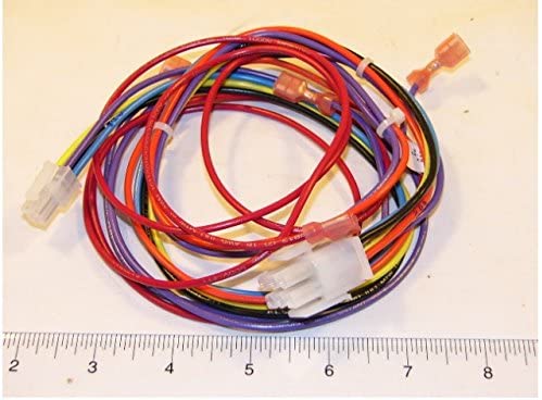 LOCHINVAR WRE30000 GAS VALVES